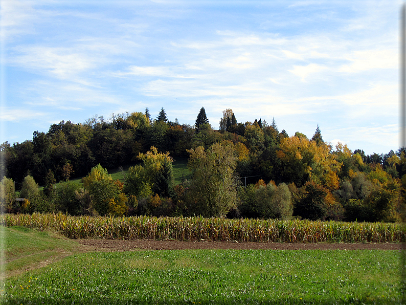 foto Paesaggi Autunnali tra le colline Fontesi